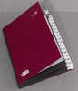 dots Pultordner DIN A4 32 Taben rot