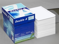 Double A Kopierpapier Double A Premium Maxi-Box A4 DIN A4 80 g/m²