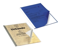 DURABLE Klemmschienenhüllen DIN A4 0.22 mm genarbt transparent 50 St.