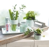 edding 4-5200928 Acrylspray Sprühfarbe Mellow mint matt