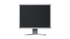 EIZO FlexScan S2133-GY LED-Monitor 54 cm 21, 3 Zoll lichtgrau