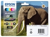 Epson Original 24XL Elefant Druckerpatronen 6er MultiPack BK/C/M/Y/LC/LM (C13T24384011)