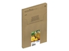 Epson Original Easy Mail Packing 604 Ananas Druckerpatronen - 4er Multipack (C13T10G64510)