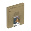 Epson Original Easy Mail Packing T1306 Hirsch Druckerpatronen 3er Multipack C/M/Y (C13T13064510)
