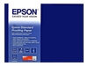 Epson Proofing Paper Standard - Halbmattes Proofing-Papier - 9 mil - Rolle (43, 2 cm x 30, 5 m) - 240 g/m2 - 1 Rolle(n)