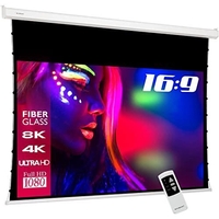 eSmart Professional TATENSO Tageslicht Tension Leinwand Grau 203 x 114 cm (92") 16:9