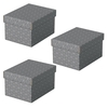 Esselte Aufbewahrungsboxen LEITZ Box Home S grau 3St. 6, 5 l - 20, 0 x 25, 5 x 15, 0 cm grau