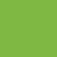 folia Tonpapier 100 BL Tonpapier A4 130g grün 130 g/m²