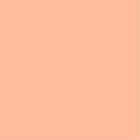 folia Tonpapier 130 g/m²