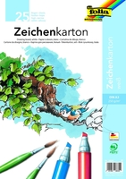 folia Tonpapier Zeichenkarton 250 g/m²