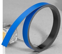 FRANKEN Magnetbänder Magnetband 100, 0x1, 0cm blau Blau
