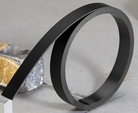 FRANKEN Magnetbänder Magnetband 100, 0x1, 0cm schwarz Schwarz