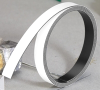 FRANKEN Magnetbänder Magnetband 100, 0x1, 0cm weiß weiß