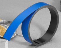FRANKEN Magnetbänder Magnetband 100, 0x1, 5cm blau Blau