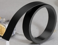 FRANKEN Magnetbänder Magnetband 100, 0x1, 5cm schwarz Schwarz
