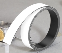 FRANKEN Magnetbänder Magnetband 100, 0x1, 5cm weiß weiß