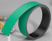 FRANKEN Magnetbänder Magnetband 100, 0x2, 0cm grün Grün