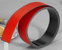 FRANKEN Magnetbänder Magnetband 100, 0x2, 0cm rot Rot