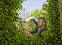 Gardena Heckenschere NatureCut