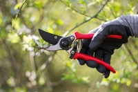 Gartenschere Bypass Basic