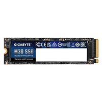 GIGABYTE M30 SSD - 1 TB (NVMe,  M.2)