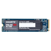 Gigabyte NVMe SSD - 128 GB