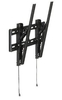 HAGOR BL Tilt 800 - Befestigungskit (Wandmontage) - 116 cm (46") - 165 cm (65") neigbare Wandhalterung