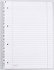 herlitz Collegeblöcke x.book Freedom liniert DIN A4