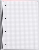 herlitz Collegeblöcke x.book kariert DIN A4