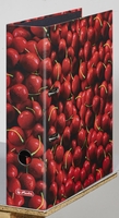 herlitz Ordner 8 cm DIN A4 Karton Motiv