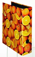 herlitz Ordner 8 cm DIN A4 Karton Motiv