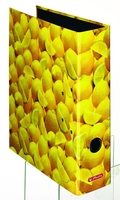 herlitz Ordner 8 cm DIN A4 Karton Motiv
