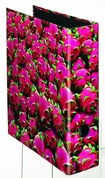 herlitz Ordner 8 cm DIN A4 Karton Motiv