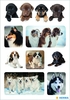 HERMA Aufkleber Herma Sticker Hundeliebling Hunde