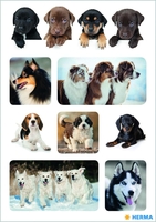HERMA Aufkleber Herma Sticker Hundeliebling Hunde