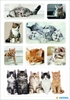 HERMA Aufkleber Herma Sticker Katzenkinder Katzen