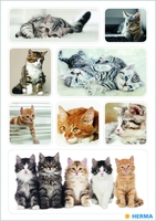 HERMA Aufkleber Herma Sticker Katzenkinder Katzen