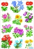 HERMA Aufkleber Sticker Gebirgsblumen Blumen