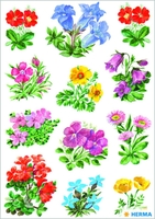 HERMA Aufkleber Sticker Gebirgsblumen Blumen