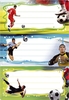 HERMA Schuletiketten 6x Schuletiketten Fussball Fussball