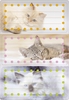 HERMA Schuletiketten 6x Schuletiketten Katzen Katzen