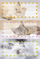 HERMA Schuletiketten 6x Schuletiketten Katzen Katzen