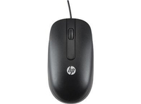 HP optische USB-Scroll-Maus
