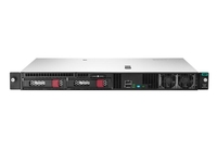 HPE ProLiant DL20 Gen10 Plus P44113-421