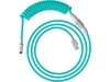 HyperX USB-C Spiralkabel hellgrün-weiß