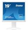Iiyama Monitor ProLite B1980SD-W1 LED-Display 48, 3 cm (19") weiß