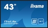 Iiyama ProLite LE4341S-B1 Signage Display 108 cm (42, 5 Zoll)