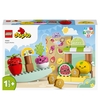 LEGO® DUPLO Biomarkt 10983