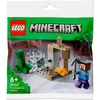 LEGO® Minecraft Die Tropfsteinhöhle 30647