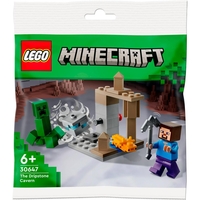 LEGO® Minecraft Die Tropfsteinhöhle 30647